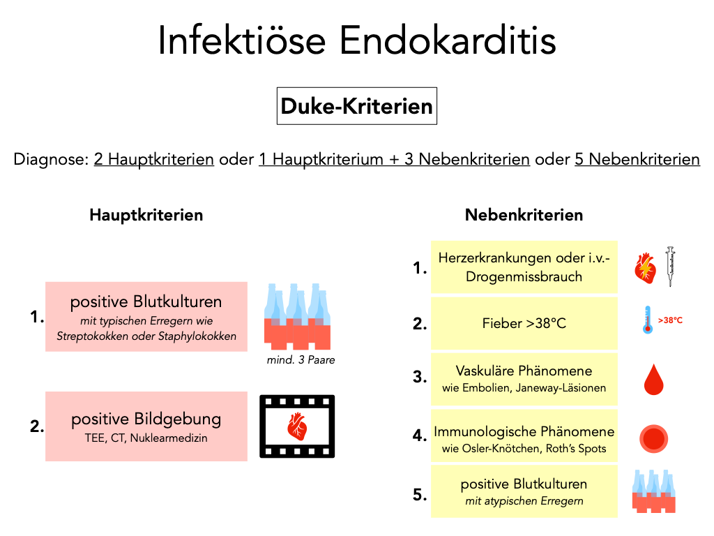 Endokarditis - Kardiologie
